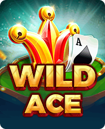 Wild Ace slot on X666