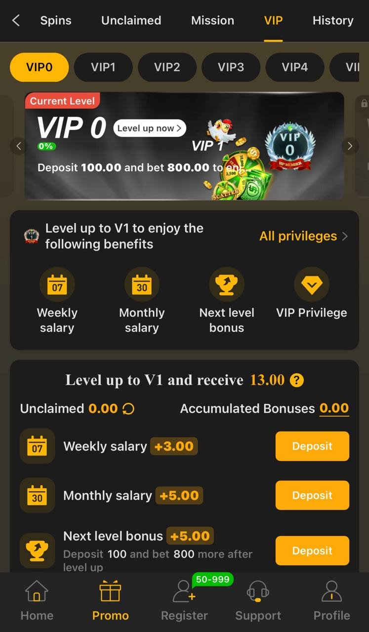 X666 app VIP levels screen
